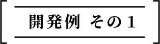 開発例 その1